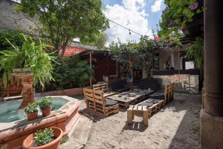 The Doozy Koala Hostel