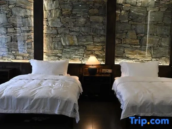 Premium Twin room