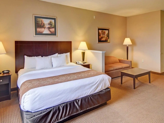 1 Bedroom Suite