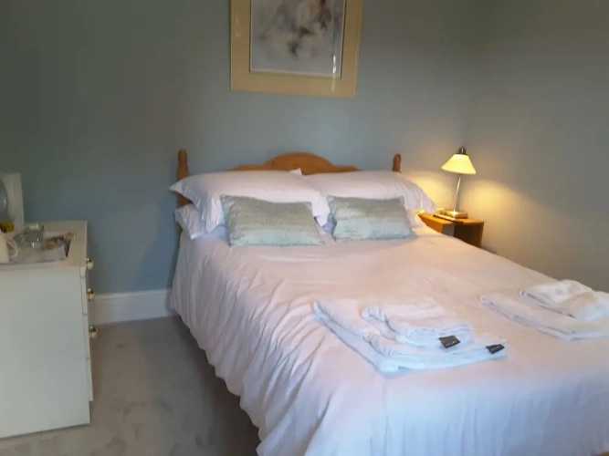 Standard Double room with garden view