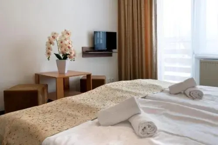 Hotel Lesana