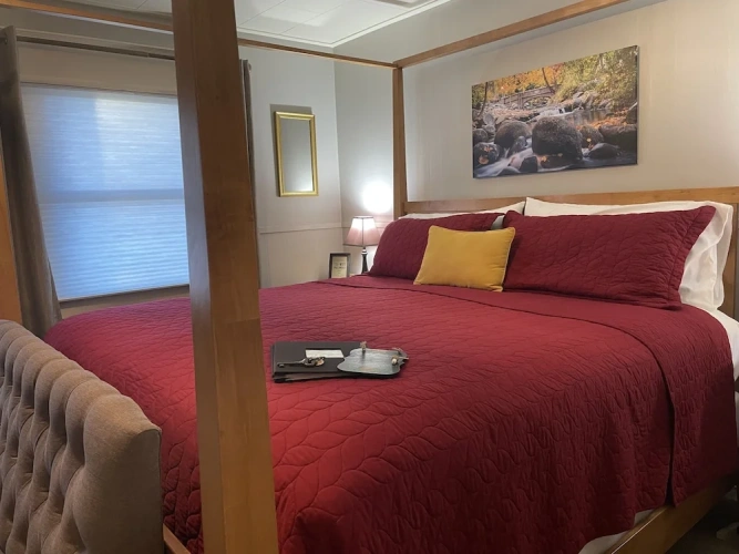 Deluxe room with garden view