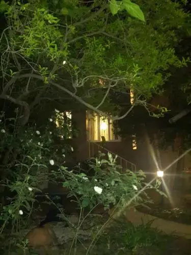 Garden-House in downtown.
