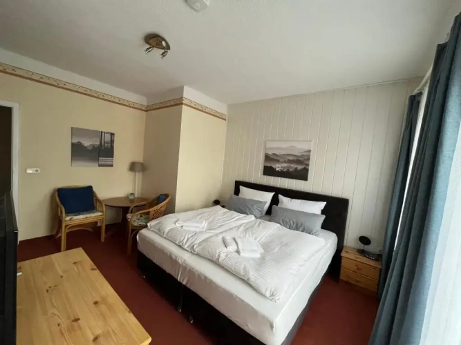 Standard Double room with balcony and with lake view