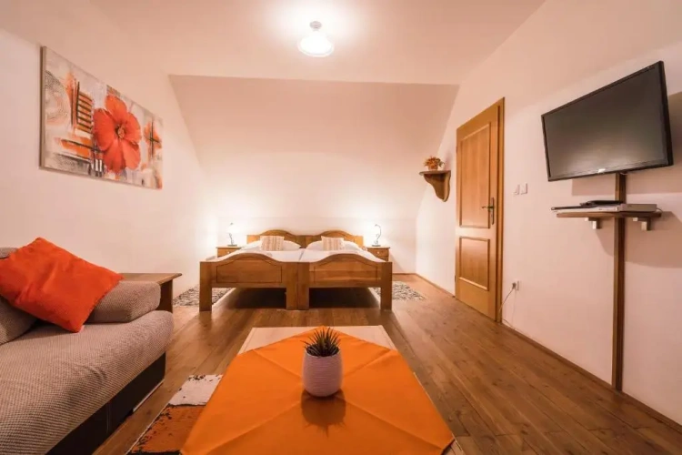 1 Bedroom Suite