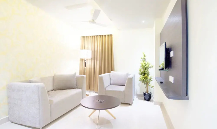 Treebo Trend Olive Tree