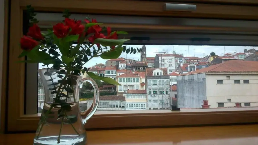 Suite with view