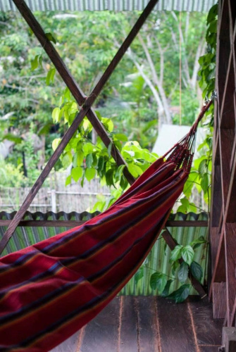 Ayahuasca