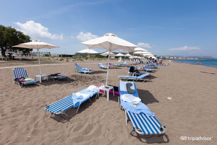 Apollo Blue Hotel photo 25
