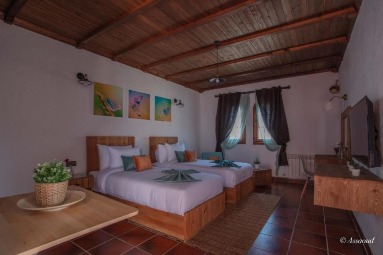 Superior Double Suite