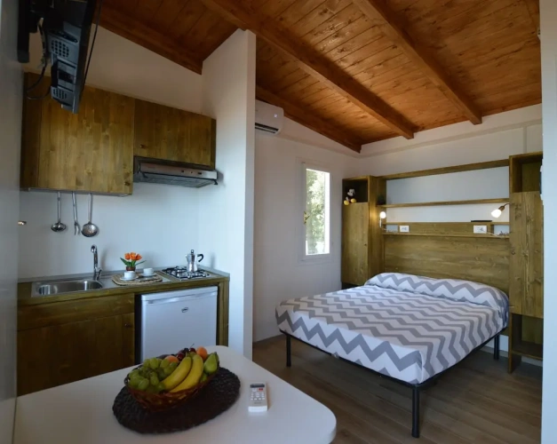 1 Bedroom Studio with balcony and with sea view