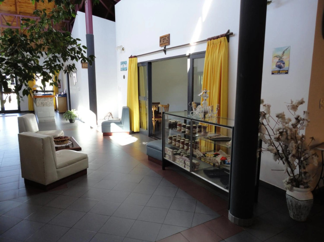 Hotel Lujan