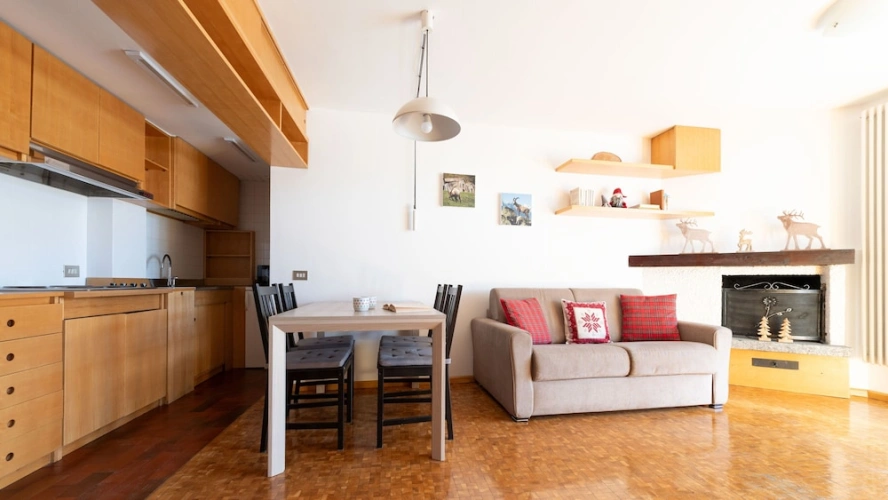 1 Bedroom Apartment