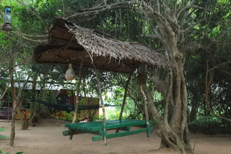 Yala Wild House