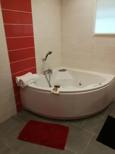 Standard Double room with park view