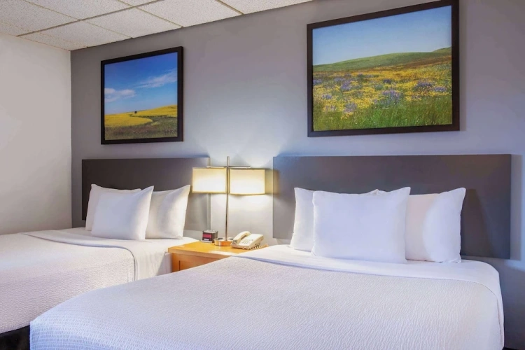 Deluxe Quadruple room