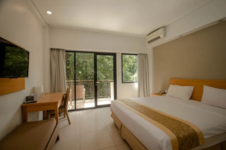 Superior Double room with balcony and with land view