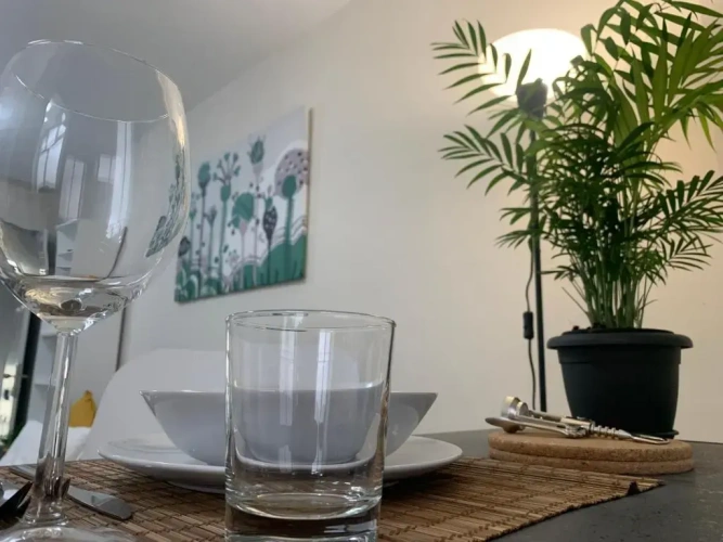 1 Bedroom Apartment