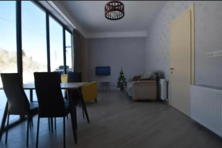 Bakuriani Didveli Residence C 16