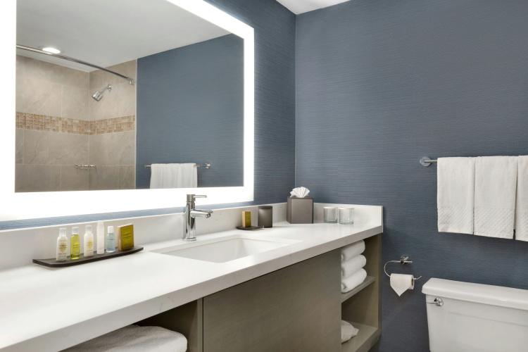 DoubleTree Suites by Hilton Hotel Boston - Cambridge photo 10