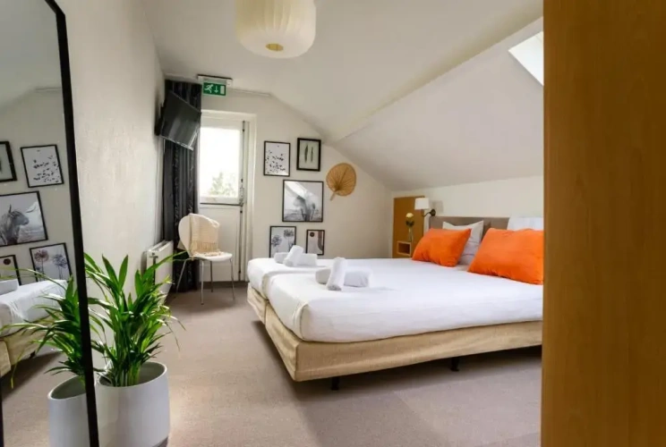 Deluxe Twin room