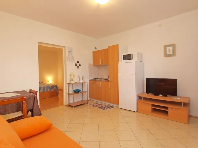 1 Bedroom Standard Apartment