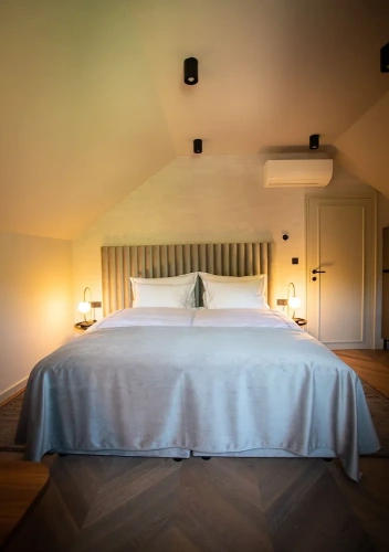 3 Bedrooms Standard Penthouse room