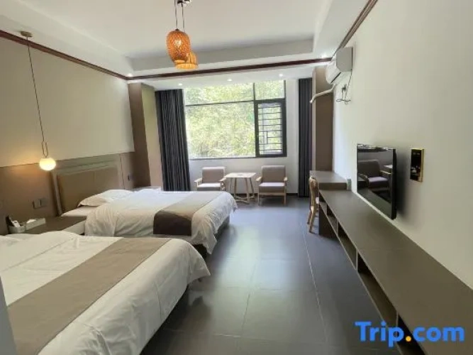 Standard Double room with mountain view