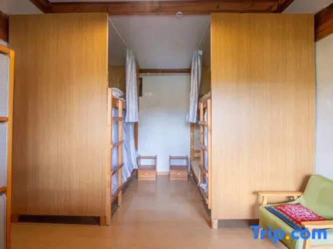 Bed in Dorm