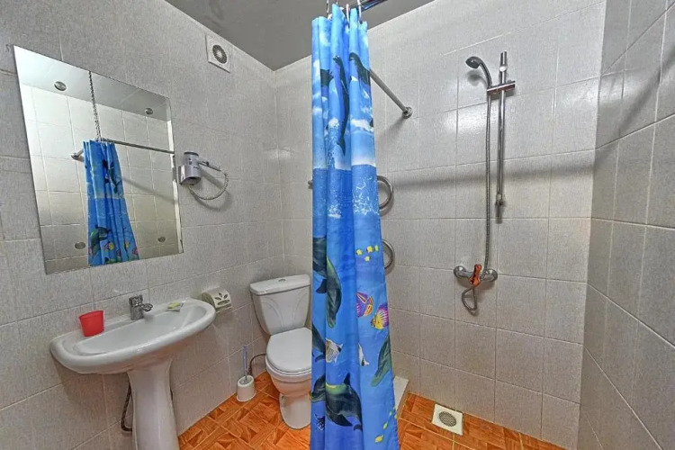 Фотография номера гостиницы Целинный