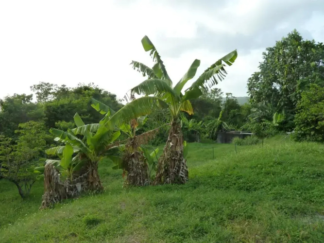 Malendure Bay Appartements