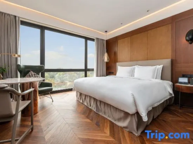 Deluxe Twin room with garden view