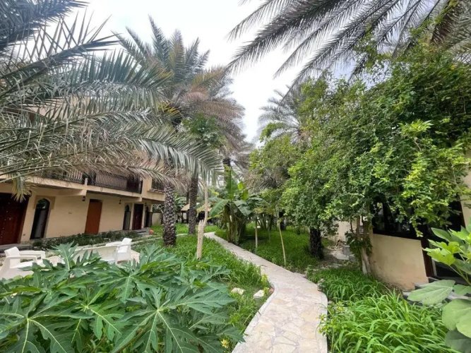 Date Palm Inn