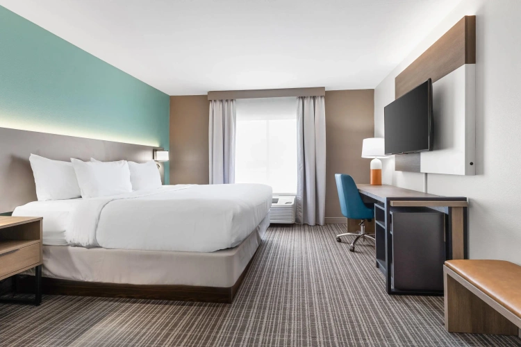 Standard Double room