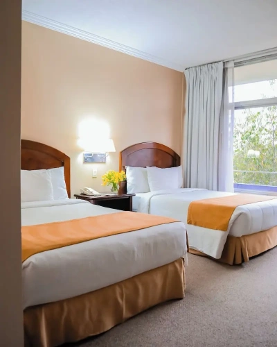 Business Double room