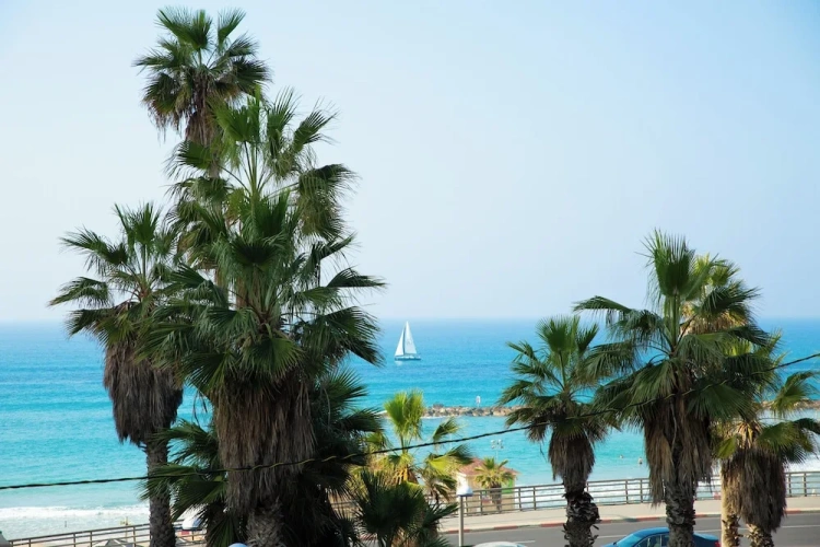 2 Bedrooms Deluxe Apartment with balcony and beachfront