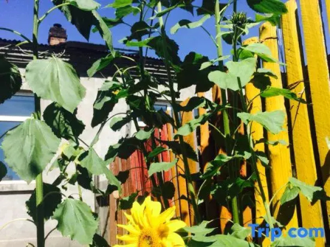 Yuanju Guest House