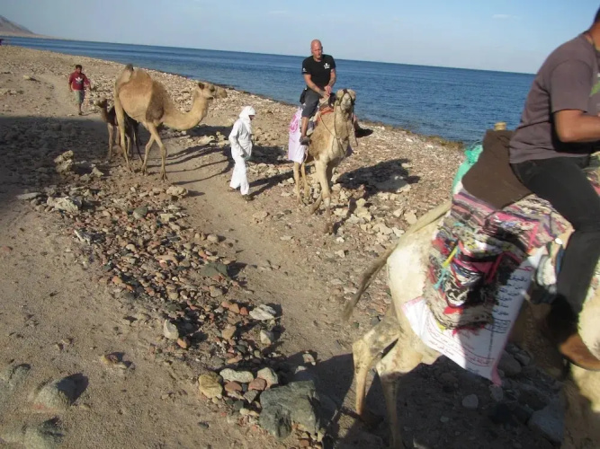 La Reine Dahab Hotel