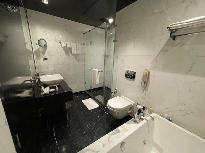 1 Bedroom Suite