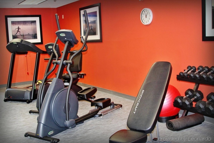 Holiday Inn Express & Suites Tampa Airport photo 22