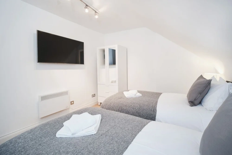 Deluxe Apartment