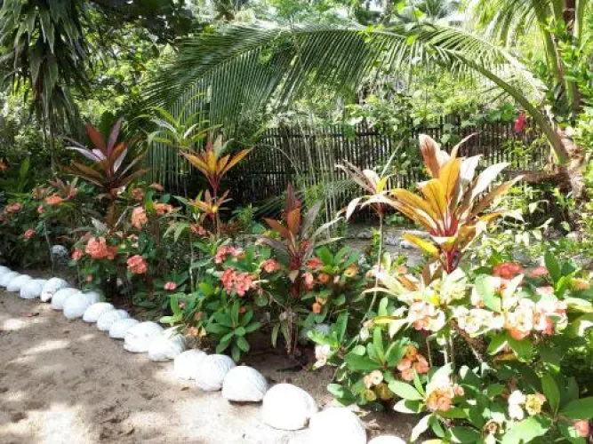 Big BamBoo Beach Resort Sipalay