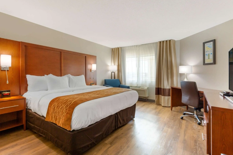 Standard Double room