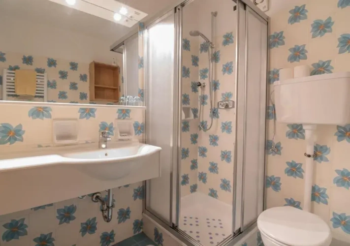 Superior Double room with mountain view