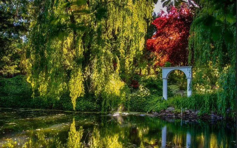 The Willows