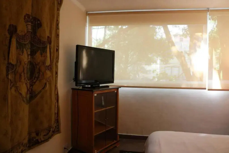 Luxurious & Chic 2 BR Apt Polanquito Lincon Park