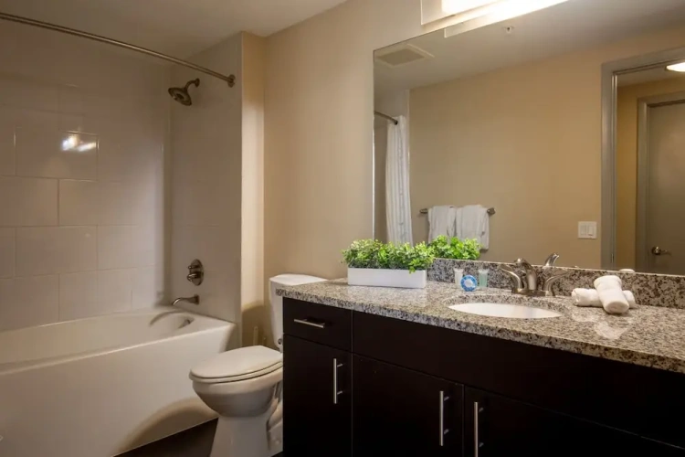 1 Bedroom Deluxe Apartment