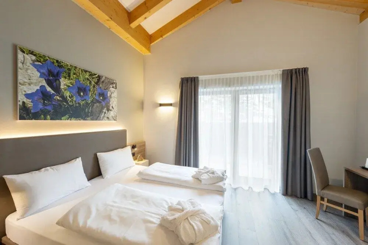 Chalet Aster