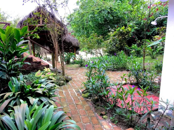 Las Acacias Apts
