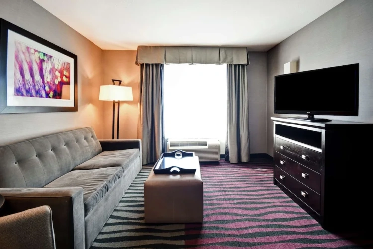 1 Bedroom Suite